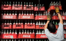 Thách thức chờ đợi Coca-Cola khi tấn công ngành sữa