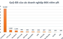 Quỹ đất lớn của các doanh nghiệp địa ốc đang nằm ở đâu?