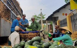 Tem có chữ Trung Quốc dán trên dưa hấu Việt là tem gì?