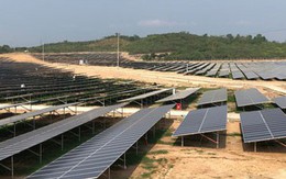 Nhà máy Điện mặt trời Cư Jút chính thức phát điện thương mại