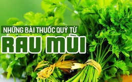 Tác dụng "thần kỳ" của rau mùi tây: Đặc biệt tốt như thuốc tự nhiên nếu dùng theo cách này