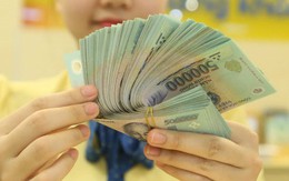 Thêm nhiều ứng viên ngân hàng Việt triển vọng vào “Câu lạc bộ 10.000 tỷ” lợi nhuận