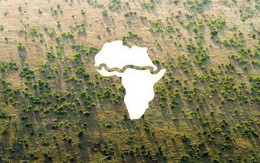 Điều chưa từng có ở châu Phi: Bức "tường" xanh khổng lồ dài hơn 8.000km trải dài qua 20 nước