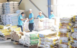 Nghịch lý: Thái Lan đòi mua gạo, doanh nghiệp Việt khó bán!