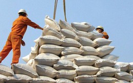 30 năm xuất khẩu gạo và vai trò ổn định thị trường của Chính phủ