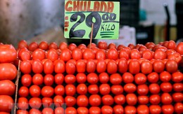 Áp thuế cao đối với cà chua, Mỹ gây căng thẳng thương mại với Mexico