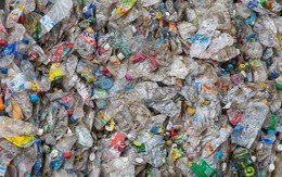 Giải quyết khủng hoảng rác nhựa bằng cách... chế ra một loại nhựa khác: Tại sao ý tưởng "IQ vô cực" này được đánh giá cực cao?