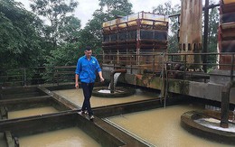 Chủ tịch Hà Nội nói về việc nhà máy dư nước sạch mà dân vẫn 'khát'