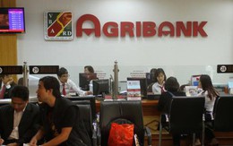Kiểm toán Nhà nước: 5 trên 6 công ty con của Agribank lỗ luỹ kế 2017