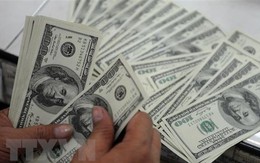 Mỹ khẳng định các đối tác thương mại không thao túng tiền tệ