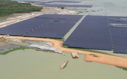 Ai đang dẫn đầu trong mảng năng lượng tái tạo ở Việt Nam? (P.1)