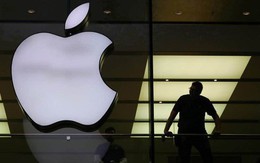 13 tuổi đã hack cả Apple để "xin việc", thanh niên thoát tội vì "tài năng đáng dùng hơn bỏ tù"