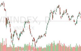 Xu thế dòng tiền: Mất 960 điểm, VN-Index sẽ về 945?