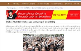 Lao động “chui” bằng đường du học