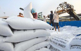 Trị giá xuất khẩu gạo của Việt Nam giảm mạnh trong 5 tháng