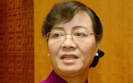 Bà Nguyễn Thị Quyết Tâm: "Ứng xử của ông Đoàn Ngọc Hải làm tôi rất ngạc nhiên, khó hiểu"