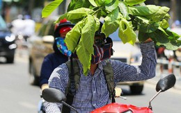 Miền Bắc nắng nóng kinh hoàng, thời tiết oi bức kéo dài suốt cả ngày, có nơi vượt ngưỡng 40 độ C