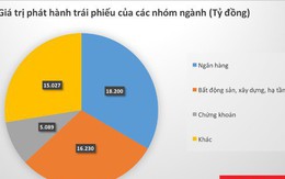 Các ngân hàng dẫn đầu trong cuộc đua phát hành trái phiếu