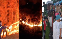 Toàn cảnh vụ cháy rừng thông lớn nhất Hà Tĩnh, di dời tài sản cả trăm hộ dân
