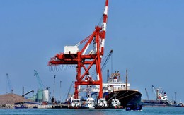 Cảng Quy Nhơn thay mới hàng loạt lãnh đạo chủ chốt sau chuyển giao