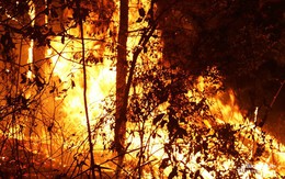 Rừng tiếp tục bùng cháy tại Nghệ An và Hà Tĩnh