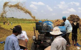 Trung Quốc siết tiêu chuẩn, hàng Việt lao đao