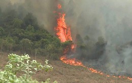 Đang cháy rừng ở Quảng Bình, hàng trăm cán bộ được huy động dập lửa