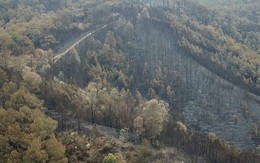 Clip nhìn từ trên cao: Cánh rừng thông xám xịt ở Hà Tĩnh sau 4 ngày lửa bùng cháy kinh hoàng khiến nhiều người xót xa