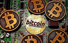 Bitcoin tăng giảm thất thường: Rủi ro vây bủa nhà đầu tư