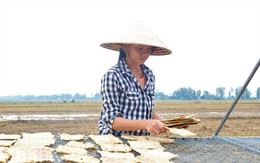 Độc đáo khô cá sấu ở An Giang