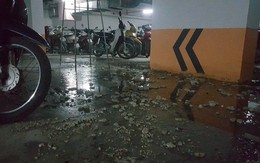 Hà Nội: Hầm gửi xe khu đô thị Thanh Hà bốc mùi hôi thối do vỡ đường ống nước thải