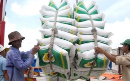 Xuất khẩu gạo tụt dốc
