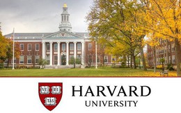 “Vỡ mộng” Harvard: Bệnh thành tích, nạn “cha truyền con nối”, phân biệt giới tính, sinh viên không hẹn hò vì thiếu kỹ năng