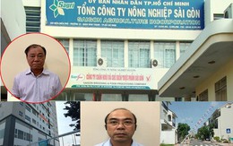 Thu hồi dự án khu nhà ở Phước Long B do ông Lê Tấn Hùng chuyển nhượng sai