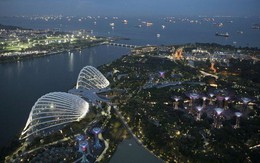 Singapore tính chi hàng tỷ USD để tự cứu trong ảnh hưởng chiến tranh thương mại