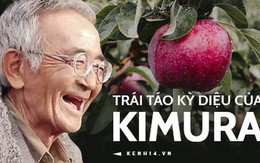 Kiên trì suốt 10 năm, người đàn ông từng bị coi là ngốc nghếch, cố chấp đã tạo ra một giống táo diệu kỳ cho nước Nhật