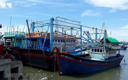 Ngư dân Phú Yên gặp nhiều vướng mắc về hạn ngạch khai thác thủy sản