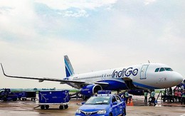 Hãng hàng không giá rẻ lớn nhất Ấn Độ mở đường bay tới VN