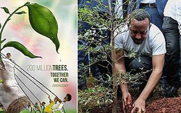 Trồng 350 TRIỆU cây xanh trong MỘT ngày, quốc gia này chính thức phá kỷ lục trồng cây trên mọi thời đại