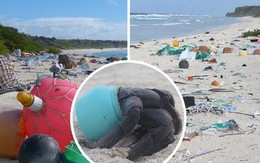 Phát hiện lượng rác nhựa khổng lồ tại hòn đảo thiên đường không người ở giữa Thái Bình Dương: 30 năm trôi qua trông vẫn như mới