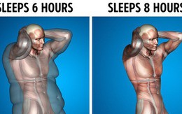 Giả sử mỗi ngày bạn được ngủ 8 tiếng, đây là những gì sẽ xảy ra