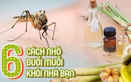Dịch sốt xuất huyết lại bùng lên, đừng bỏ qua những cách đuổi muỗi đơn giản dễ áp dụng này để muỗi không có cơ hội hại bạn