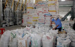 42 thương nhân được cấp phép xuất khẩu gạo theo Nghị định 107