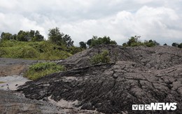 Hàng chục tấn bùn thải Nhà máy Alumin Nhân Cơ đổ trái phép ở Đắk Nông
