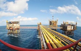Tận thu tiền thuê mặt biển trong hoạt động dầu khí?