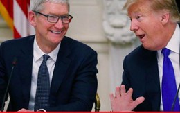 Tổng thống Mỹ Donald Trump vừa ăn tối cùng CEO Apple Tim Cook