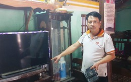 1 phút 9 lần mất điện ở Thanh Hóa... tại cái cây của công ty khác