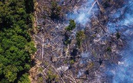 The New York Times: Phân tích ảnh vệ tinh đã chỉ ra chính xác thủ phạm gây cháy rừng thảm họa tại Amazon