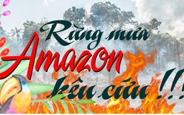 Infographic: Rừng mưa Amazon - "lá phổi xanh" của hành tinh kêu cứu