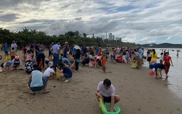 Sau bão Podul, đông nghẹt du khách túa ra bãi biển Cửa Lò nhặt “lộc trời”